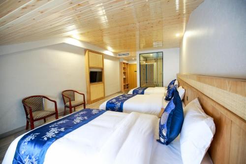 张家界武陵山水客栈Wuling Shanshui Hotel的一间卧室配有两张床和两把椅子