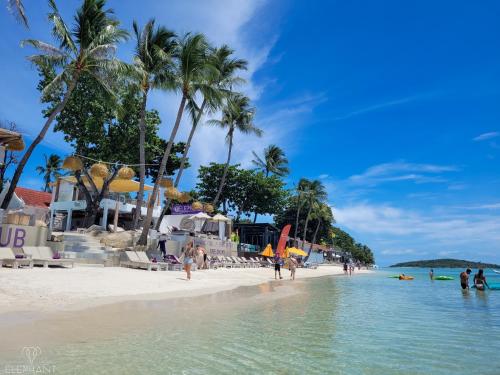 查汶Elephant Beach Club & Resort Samui的棕榈树海滩和水中的人