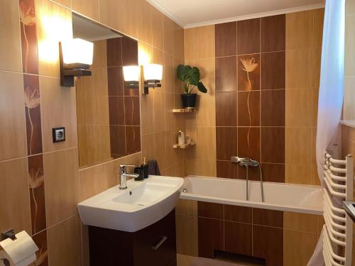 SikorzynoZielone Tarasy na Kaszubach的浴室配有盥洗盆和浴缸。