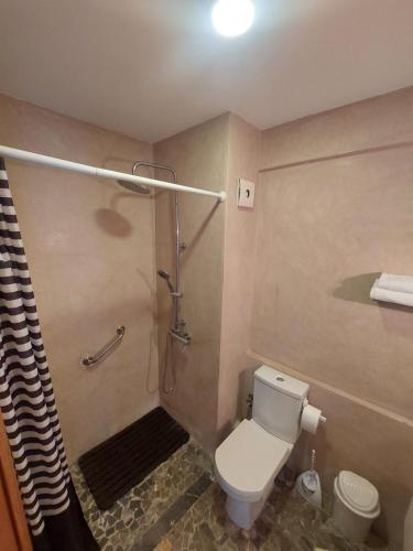 卡萨布兰卡Casa City Break Appart hôtel的带淋浴、卫生间和淋浴的浴室