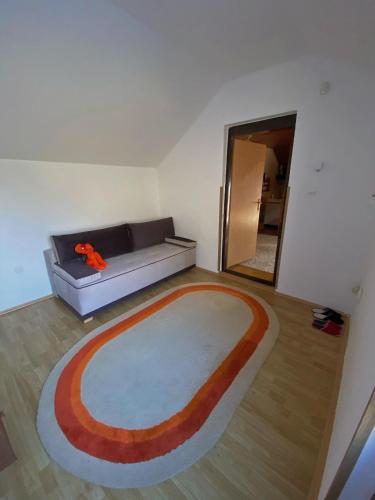 特雷比涅Apartman Trebinje的带沙发和大地毯的客厅