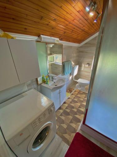 特雷比涅Apartman Trebinje的一间带洗衣机和卫生间的浴室