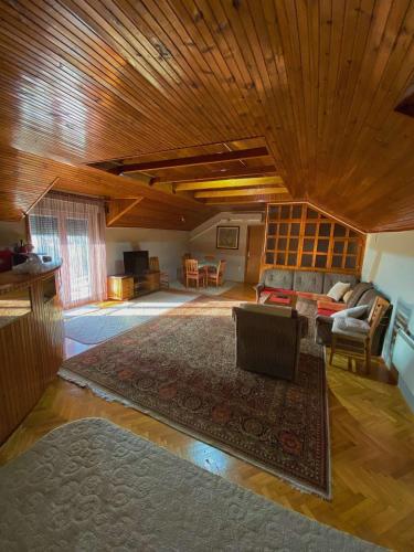 特雷比涅Apartman Trebinje的带沙发和地毯的客厅