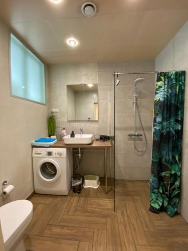派尔努Vanapargi Apartments的一间带水槽和洗衣机的浴室