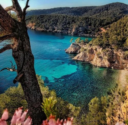 邦多勒Logement vue mer splendide - situé à 50 mètres du bord de mer et 2 minutes des plages - Bandolina的水体和树的景观