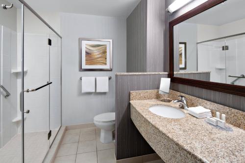 罗利罗利北/三角镇中心万怡酒店的一间带水槽、卫生间和镜子的浴室