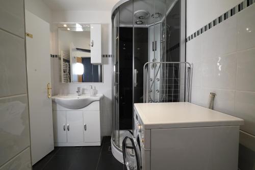 施塔姆斯Stylish & Spacious Apartment with Patio的白色的浴室设有水槽和淋浴。