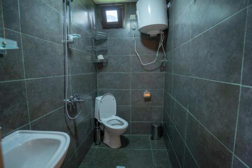 K'edaSAKREFELA的一间带卫生间和水槽的浴室