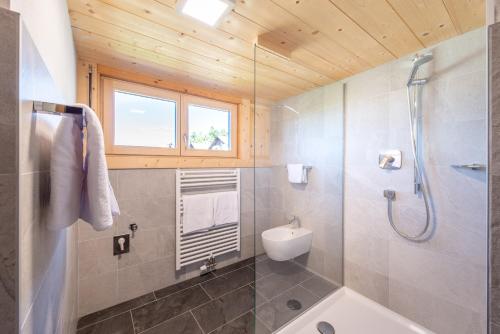 新波南特Garni-Residence Villa Paul的带淋浴、卫生间和盥洗盆的浴室