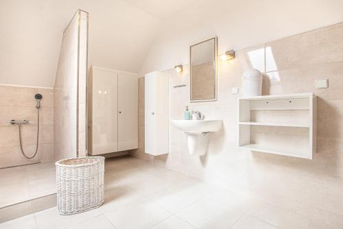 雷德尼斯列支敦士登之屋酒店的白色的浴室设有水槽和淋浴。