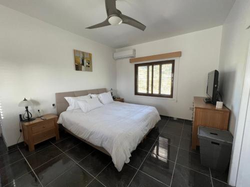 凯里尼亚Ultra deluxe Villa的一间卧室配有一张床和一台平面电视