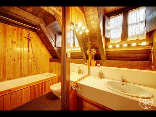 上阿兰CASA BOLARD de Alma de Nieve的一间带水槽、卫生间和镜子的浴室