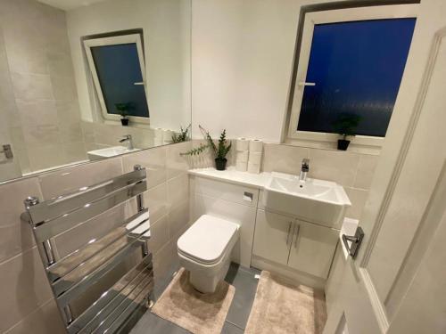 格拉斯哥Culbin Drive, Glasgow的一间带卫生间、水槽和窗户的浴室