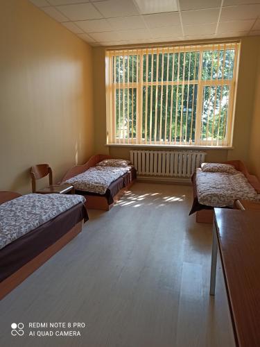 GipenaiKriaunų bendruomenės Svečių namai的客房设有三张床和大窗户