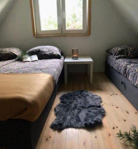 Stara KiszewaOaza spokoju w lesie的卧室配有两张床,地板上铺有地毯。