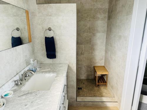 Moss TownBeautiful Island Villa - Beach Access on Private 2 Acres的一间带水槽和镜子的浴室