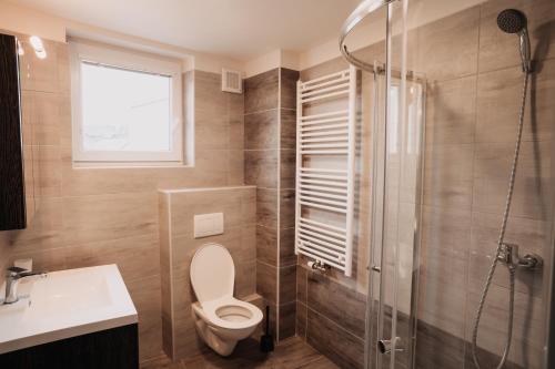 奥尔利采河畔乌斯季Penzion Quattro的带淋浴、卫生间和盥洗盆的浴室