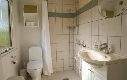瓦尔普松3 Bedroom Amazing Home In Fars的一间带卫生间和水槽的浴室