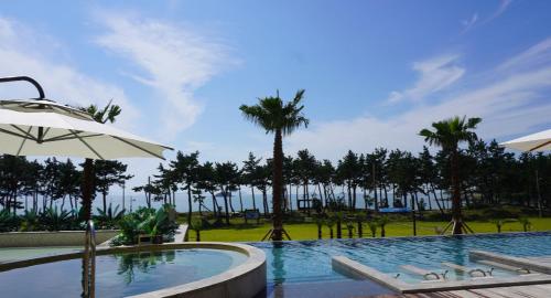 SinanC-One Resort Jaeundo的一座拥有棕榈树和遮阳伞的游泳池