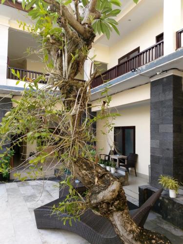 库塔拉达巴厘酒店的房子庭院里的一棵树