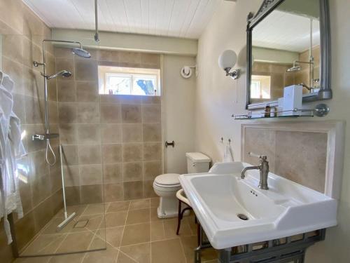 SösdalaExklusivt gästhus på anrik prästgård的一间带水槽、淋浴和卫生间的浴室