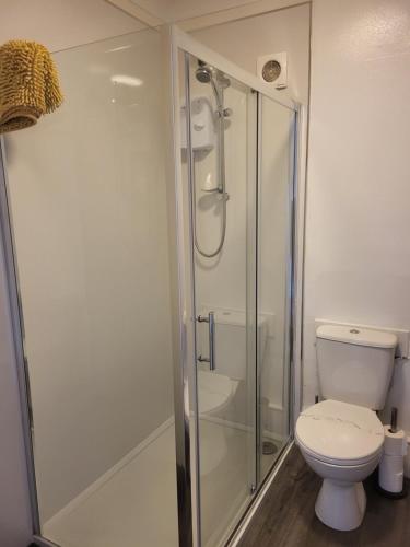 特伦Troon Beach Town Golf Apartment Troon Ayrshire的一间带卫生间和玻璃淋浴间的浴室