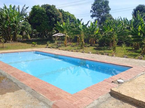 KaratinaTHE PLANTAINS PLACE的花园前的大型蓝色游泳池