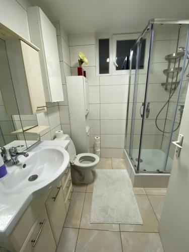 布鲁塞尔Appartement Deux chambres près de Atomium的浴室配有卫生间、盥洗盆和淋浴。