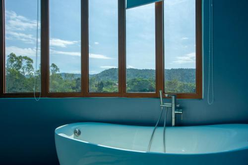 普鲁亚弗鲁阿保护区Spa酒店的带浴缸的窗户客房