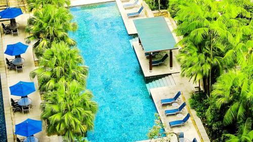 新加坡Amara Singapore的享有棕榈树和蓝伞游泳池的空中景致