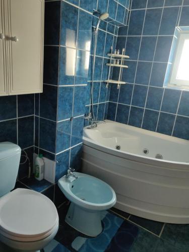 博托沙尼Apartament CASA ALEXIA的蓝色瓷砖浴室设有卫生间和浴缸