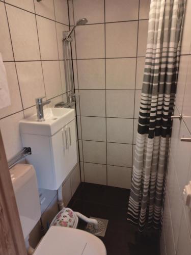NättrabyhamnTegelvägen B的浴室配有卫生间、盥洗盆和淋浴。