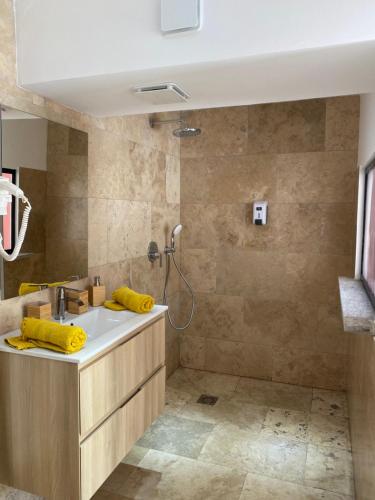 卡尔维卡萨迪弗洛米酒店的一间带水槽和淋浴的浴室