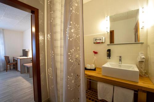 巴滕贝格韦德门希艾尔贝格酒店的一间带水槽和镜子的浴室