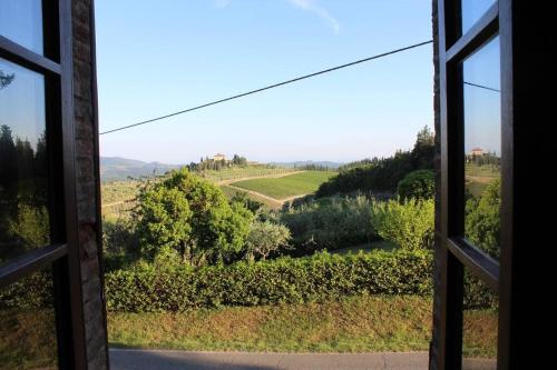 基安蒂盖奥勒Guest House il Gatto的从葡萄园的窗户欣赏美景