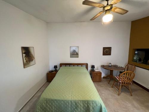 蒙得维的亚Linda casa en Barra de Carrasco的一间卧室配有一张床和吊扇
