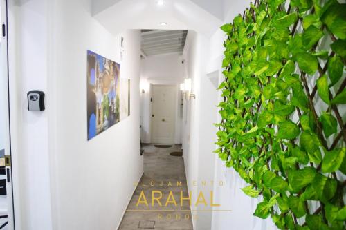 隆达ALOJAMIENTO ARAHAL - RONDA的墙上有绿色植物的走廊