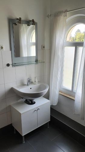 德累斯顿Ferienwohnung Schulz的一间带水槽和镜子的浴室以及窗户。