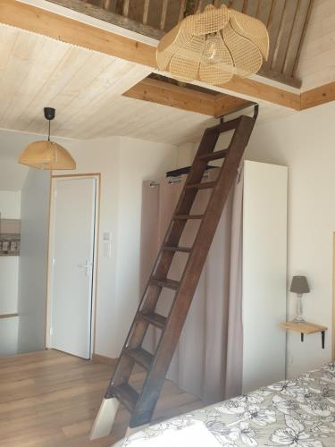 HillionGîte Atypique avec jacuzzi的天花板房间的木梯