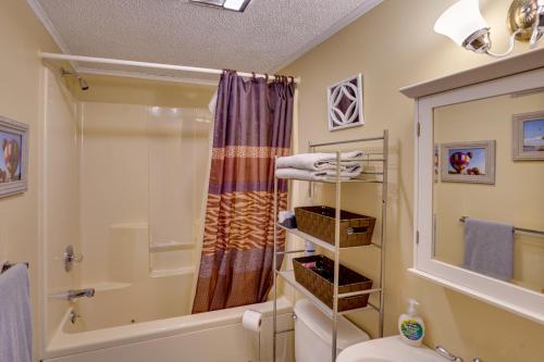 温德姆Catskills Home, 5 Mins to Windham Mtn Resort!的带淋浴和卫生间的浴室