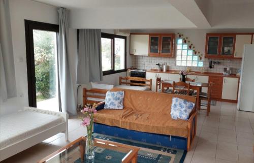 皮加迪卡Dora's House comfortable apartment with a yard and view的带沙发的客厅和厨房