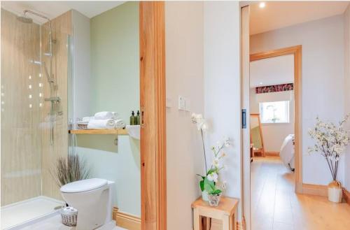 圣安德鲁斯Woodside Apartments的一间带卫生间和玻璃淋浴间的浴室