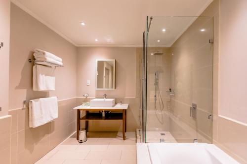 约翰内斯堡Gold Reef City Theme Park Hotel的带淋浴、盥洗盆和浴缸的浴室