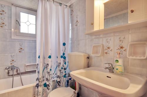 Agios LeonVilla Roxa Montuoso的浴室配有水槽、卫生间和浴帘
