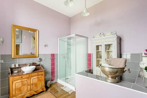 Fleurigné蒙特布劳而特庄园酒店的一间带水槽、卫生间和淋浴的浴室