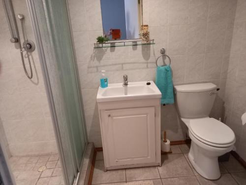 开普敦Sunshine Cottage的浴室配有卫生间、盥洗盆和淋浴。
