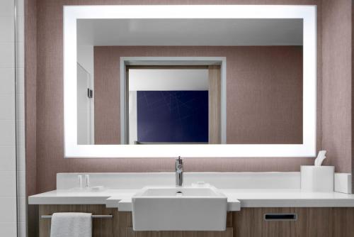 温彻斯特SpringHill Suites Winchester的一间带水槽和大镜子的浴室