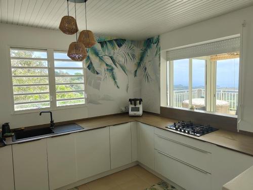 勒拉芒坦La Perle Caribéenne的一间带白色橱柜的厨房和一个阳台。