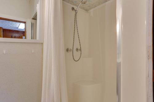 StarlightScenic Home on the Delaware River, Pet-Friendly!的带淋浴和浴帘的浴室