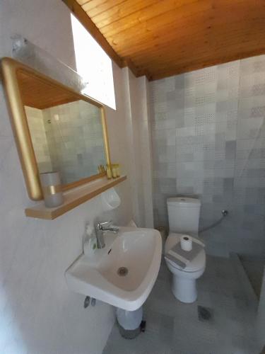 罗达奇诺Livikon Studios & Rooms的一间带水槽、卫生间和镜子的浴室